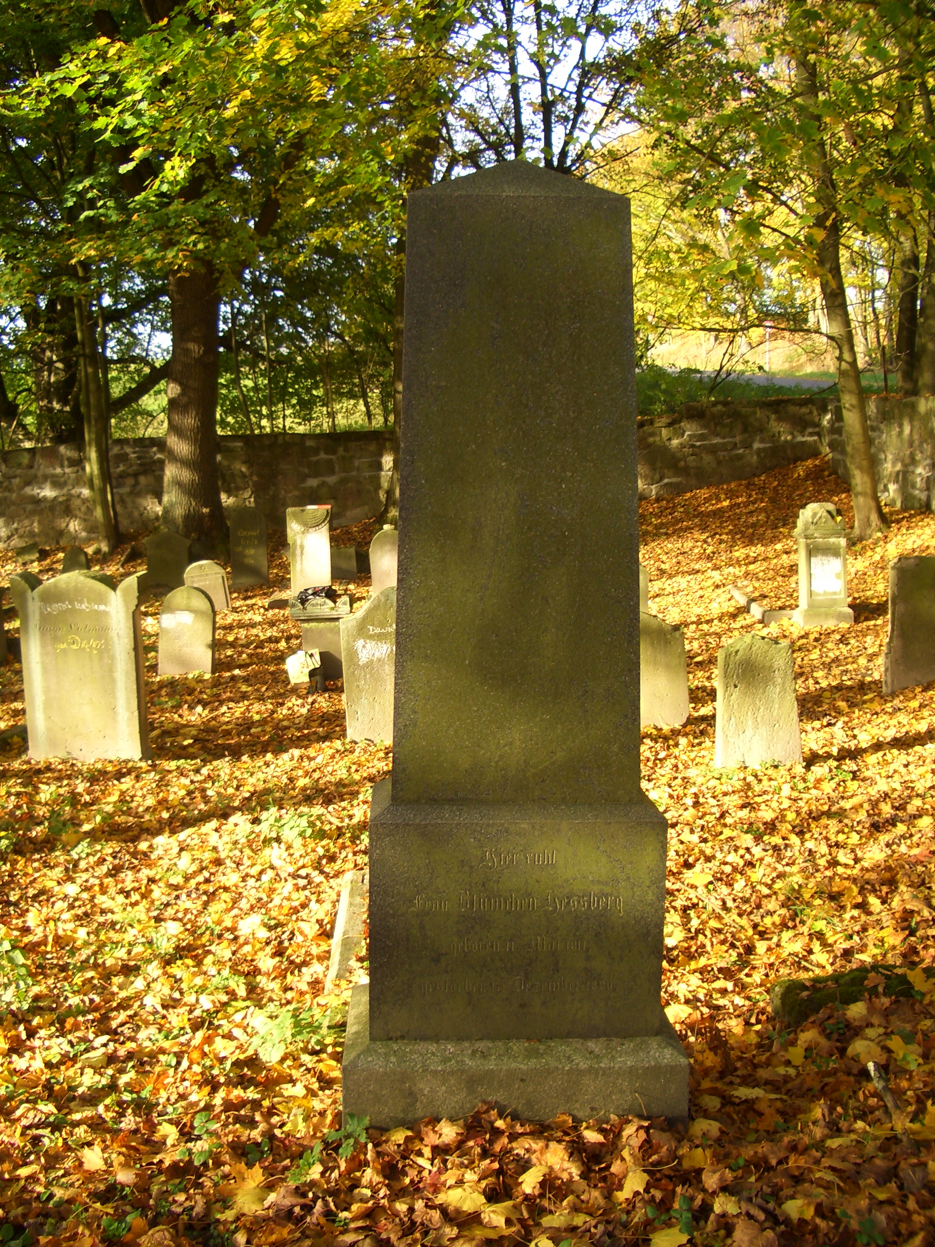 Ein Grabstein auf dem juedischen Friedhof in Schleusingen