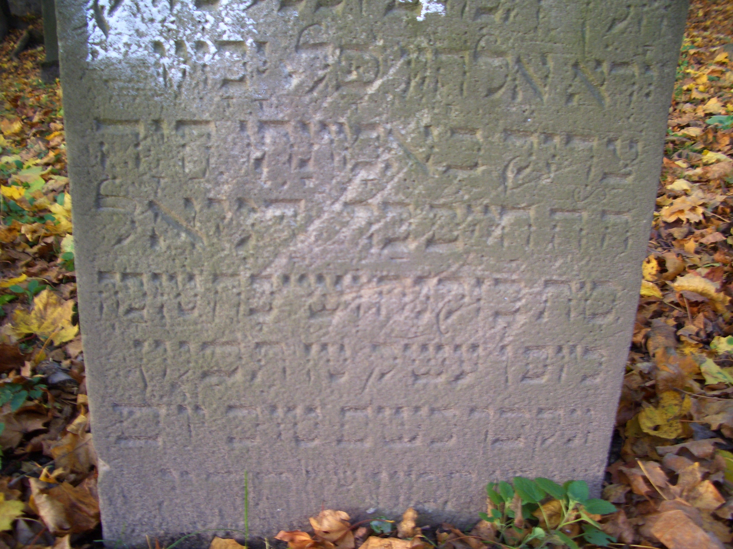 Ein Grabstein auf dem juedischen Friedhof in Schleusingen